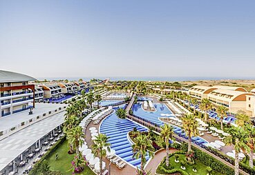 Cc Tui Magic Life Jacaranda