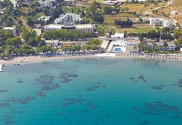 Palmet Family Bianco