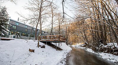 Abant Lotus Otel Genel Görünüm