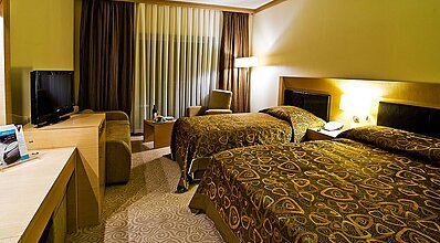 Adrina Termal Health & Spa Hotel Oda