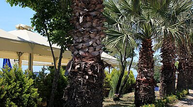 Agrigento Resort Hotel Havuz / Deniz