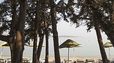 Altin Yunus Apart Hotel Havuz / Deniz