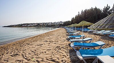 Altin Yunus Apart Hotel Havuz / Deniz