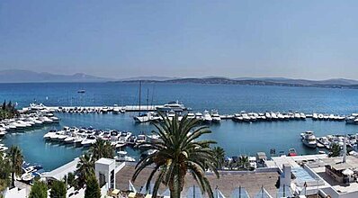 Altin Yunus Apart Hotel Havuz / Deniz