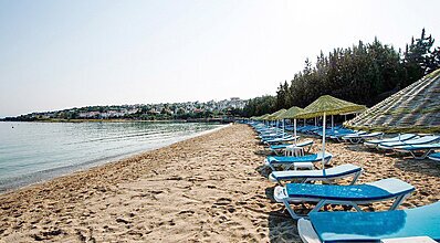 Altınyunus Resort Thermal Hotel Havuz / Deniz