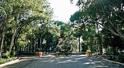 Altis Resort Hotel & Spa Genel Görünüm