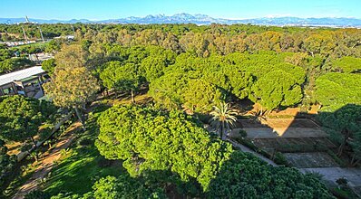 Altis Resort Hotel & Spa Oda