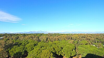 Altis Resort Hotel & Spa Oda