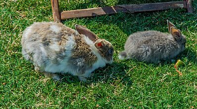 Assos Eden Gardens Hotel Genel Görünüm