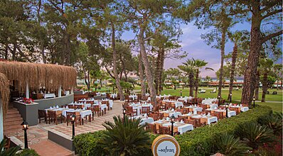 Balmy Foresta Yeme / İçme