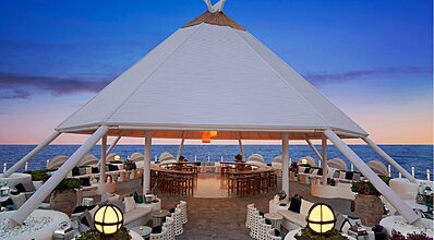 Balmy Foresta Yeme / İçme