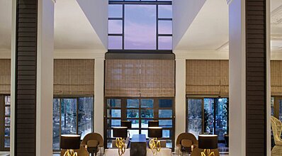 Balmy Foresta Yeme / İçme