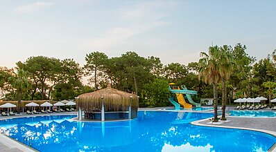 Balmy Foresta Havuz / Deniz