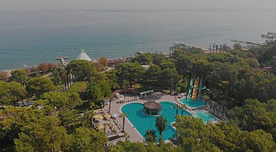 Balmy Foresta Genel Görünüm