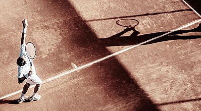 Balmy Foresta Genel Görünüm