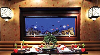 Balmy Foresta Yeme / İçme