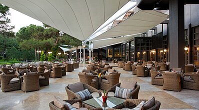 Balmy Foresta Yeme / İçme