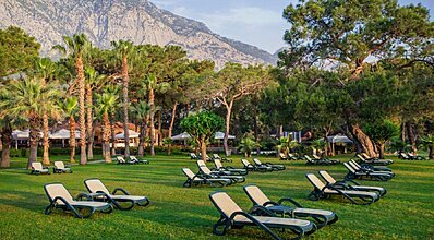 Balmy Foresta Genel Görünüm