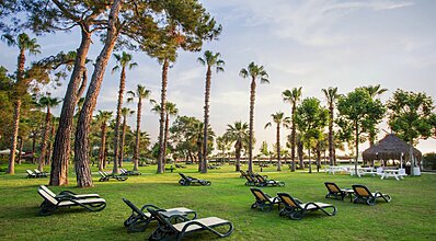 Balmy Foresta Genel Görünüm