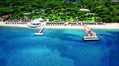 Balmy Foresta Genel Görünüm