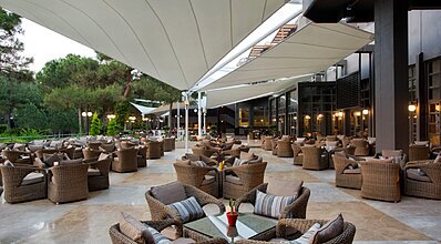 Balmy Foresta Genel Görünüm