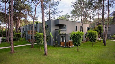 Balmy Foresta Genel Görünüm