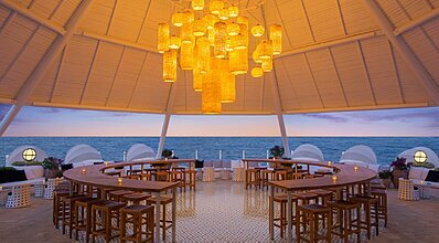 Balmy Foresta Yeme / İçme