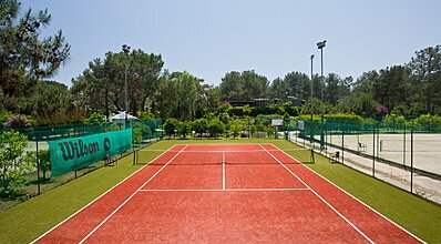 Balmy Foresta Genel Görünüm