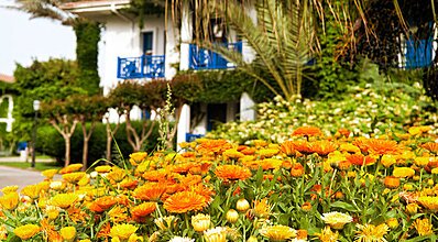 Belconti Resort Hotel Genel Görünüm