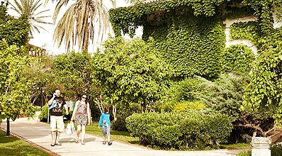 Belconti Resort Hotel Genel Görünüm