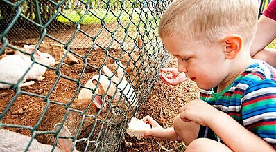 Belconti Resort Hotel Genel Görünüm