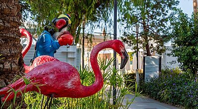 Belek Beach Resort Hotel Genel Görünüm