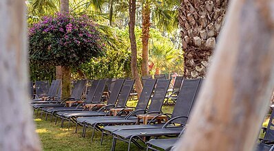 Belek Beach Resort Hotel Genel Görünüm