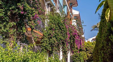 Belek Beach Resort Hotel Genel Görünüm