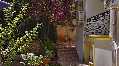 Bossa Nova Apart Genel Görünüm