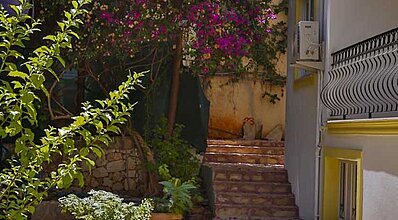 Bossa Nova Apart Genel Görünüm