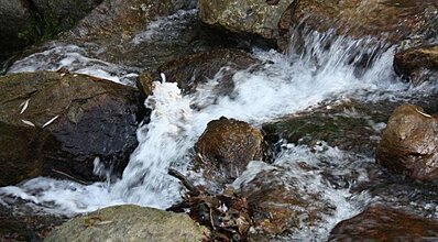 Çamkar Hotel Genel Görünüm