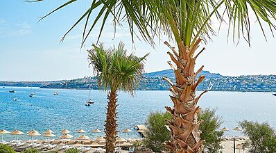 Cape Bodrum Beach Resort Havuz / Deniz