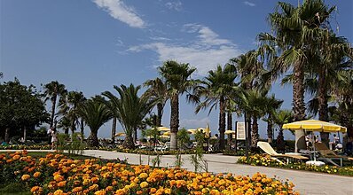 Champion Holiday Village Genel Görünüm