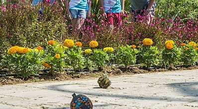 Club Calimera Serra Palace Genel Görünüm