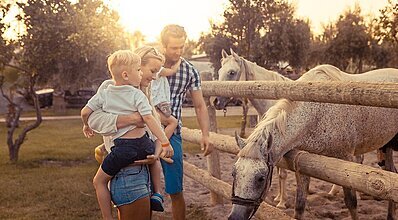 Club Hotel Turan Prince World Genel Görünüm