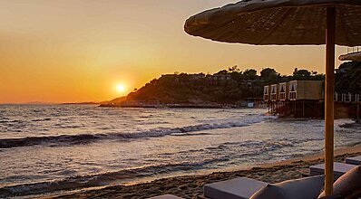 Club Marvy Havuz / Deniz