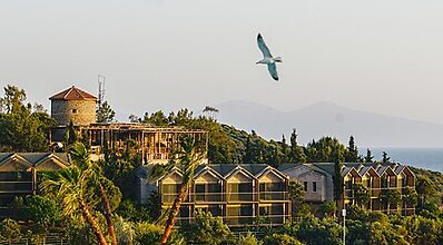 Club Marvy Havuz / Deniz