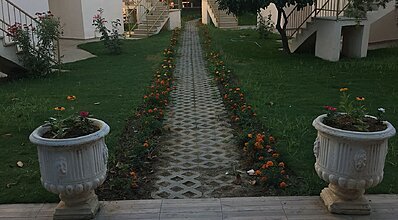 Club Papatya Hotel Genel Görünüm