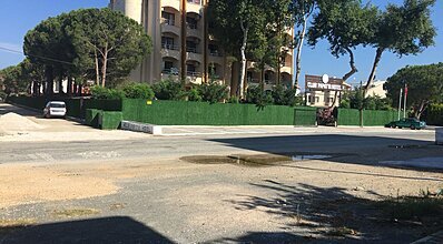 Club Papatya Hotel Genel Görünüm