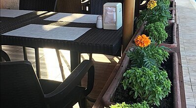 Club Papatya Hotel Yeme / İçme