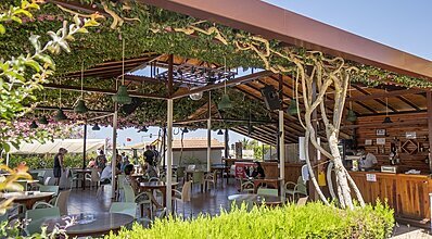 Club Titan Hotel Yeme / İçme