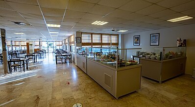 Club Titan Hotel Yeme / İçme