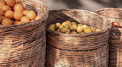 Cook's Club Alanya Yeme / İçme