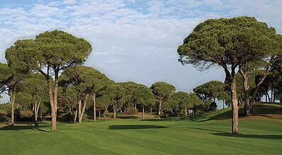 Cornelia De Luxe Resort Genel Görünüm